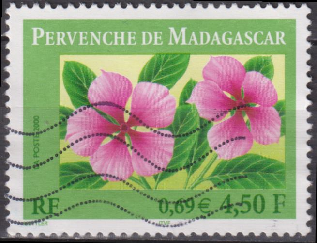 Pervenche de Madagascar